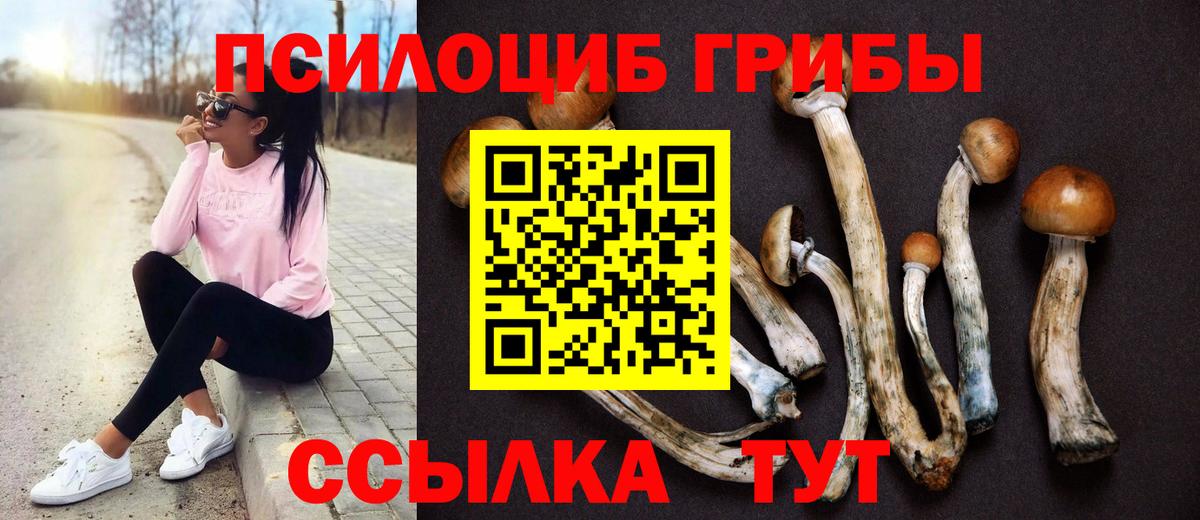 Псилоцибиновые грибы Magic Shrooms  Вход с VPN  Волгодонск 