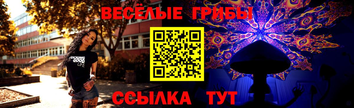 Галлюциногенные грибы GOLDEN TEACHER Волгодонск